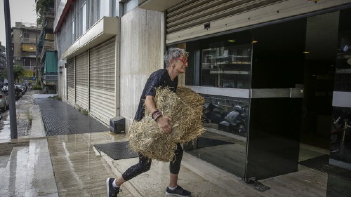 Ακτιβιστές πέταξαν σανό στα γραφεία των Ανεξάρτητων Ελλήνων