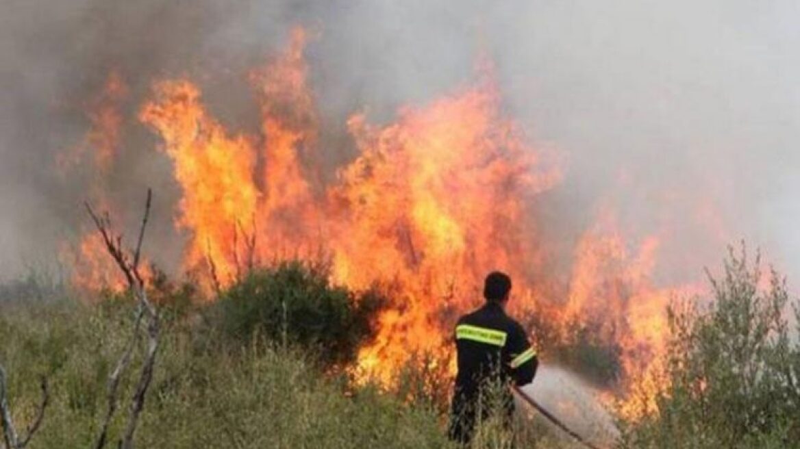 Εμπρηστής είχε κάψει τρία δάση στην Εύβοια