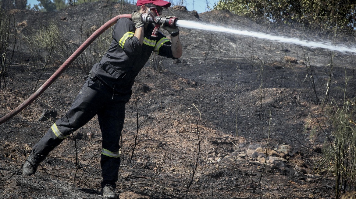 Υπό έλεγχο η πυρκαγιά στον Πρινιά Ηρακλείου