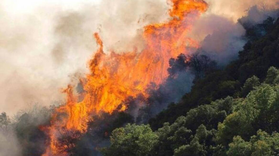 Σε ύφεση τα πύρινα μέτωπα σε Ηράκλειο, Λασίθι και Ρέθυμνο