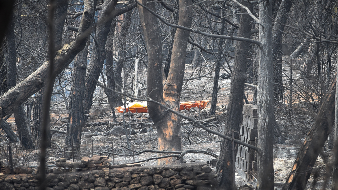 SOS από τους παιδιάτρους για τις πυρόπληκτες περιοχές: Μην αφήνετε τα παιδιά να παίζουν έξω