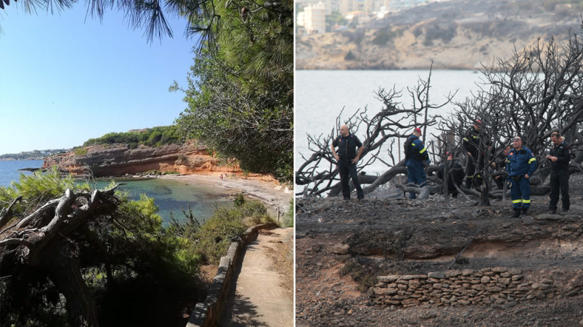 Εικόνα «γροθιά στο στομάχι»: Έτσι ήταν τρεις μέρες πριν το σημείο όπου βρέθηκαν νεκρά 26 άτομα στο Μάτι!