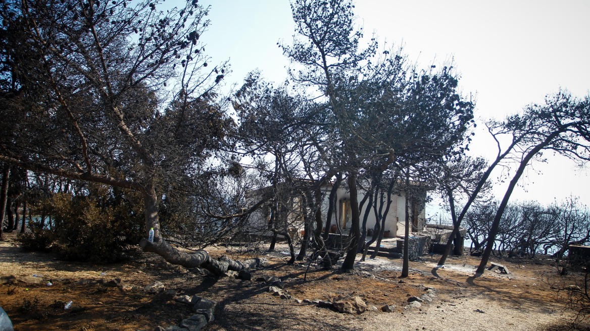 Δικαστές και Αθηναίοι δικηγόροι έλαβαν αποφάσεις υπέρ των πυρόπληκτων