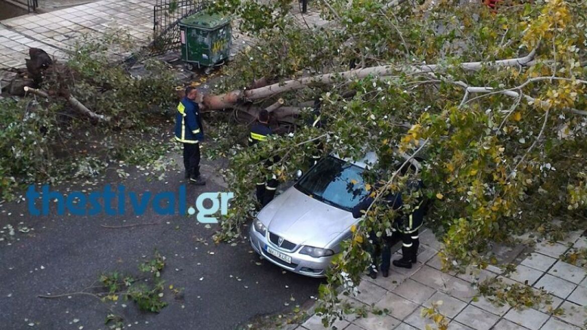 Μπουρίνι ξερίζωσε δέντρα στη Θεσσαλονίκη