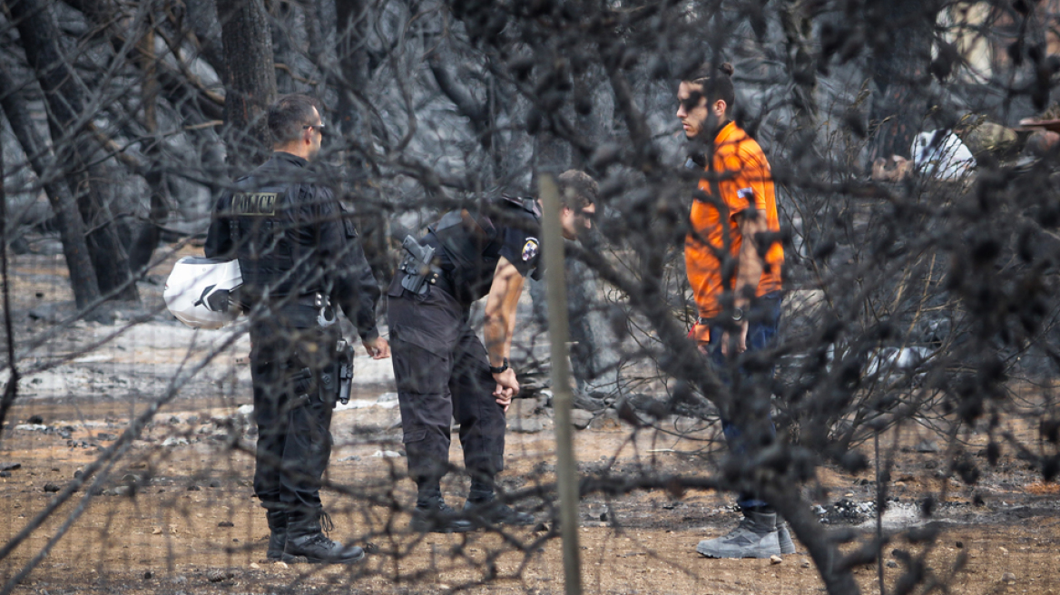 «Να αποδοθούν ευθύνες για τις πυρκαγιές όσο ψηλά και αν ανήκουν», λένε οι Ελληνες δικηγόροι