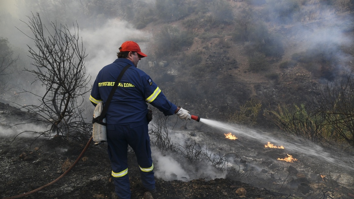 Η έκτακτη ενημέρωση της Πυροσβεστικής για τη φωτιά στην Εύβοια