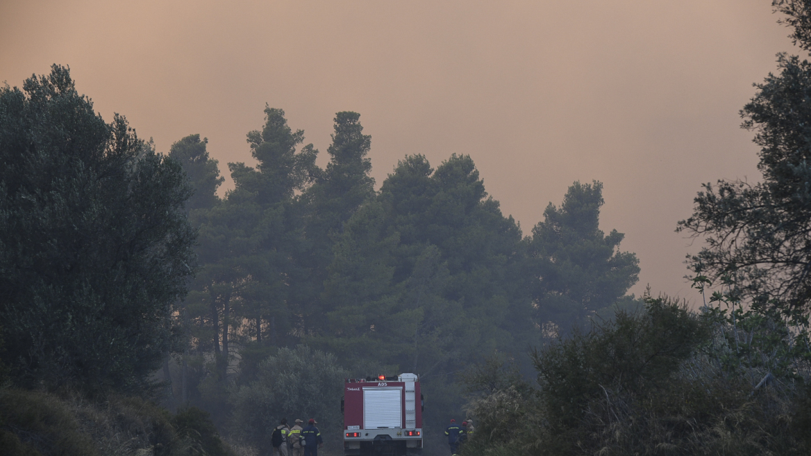 Αντιπεριφερειάρχης Εύβοιας στο ΘΕΜΑ 104,6: Είναι η πέμπτη φορά φέτος που πιάνει φωτιά στο ίδιο σημείο