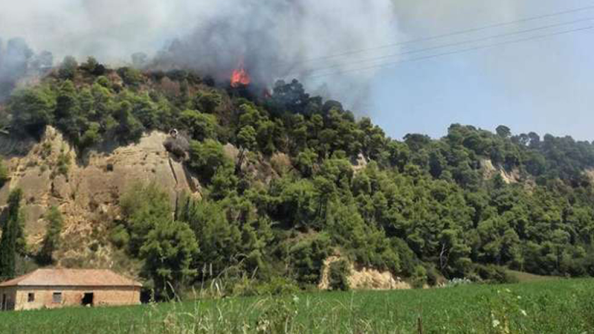 Φωτιά στην Αμαλιάδα: Στις φλόγες το δάσος - Απομακρύνεται ο κίνδυνος για τη Δαφνιώτισσα