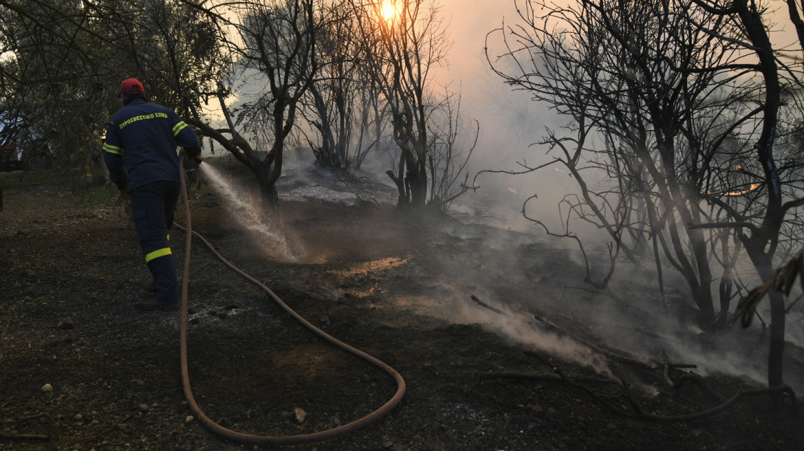 Πολύ υψηλός ο κίνδυνος πυρκαγιάς σήμερα - Ποιες περιοχές πρέπει να βρίσκονται σε επιφυλακή