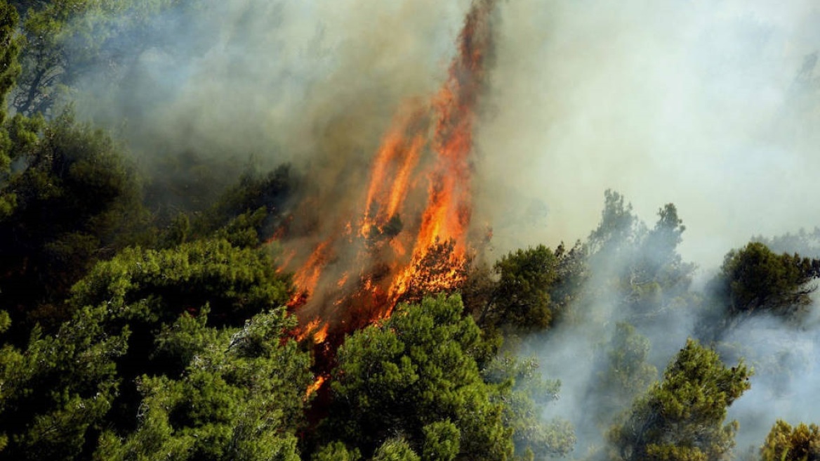 Πυρκαγιά σε δασική έκταση στα Πηγάδια Αχαΐας