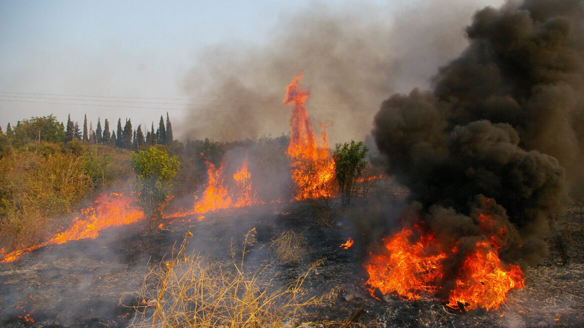 Μεγάλη φωτιά στην περιοχή Ραχτάδες της Κέρκυρας