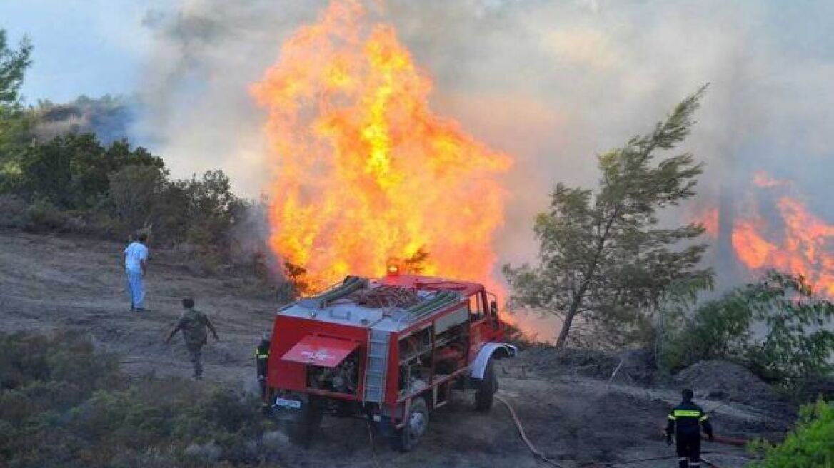 Υπό έλεγχο τέθηκε η φωτιά που εκδηλώθηκε στα Κανάκια Σαλαμίνας