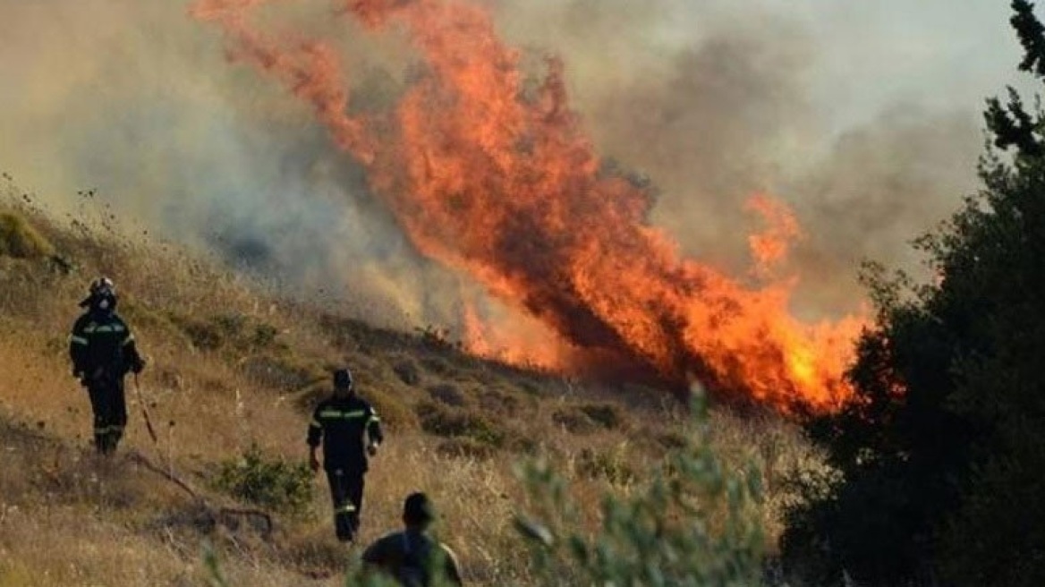 Υπό μερικό έλεγχο η φωτιά στη Σμίξη Γρεβενών