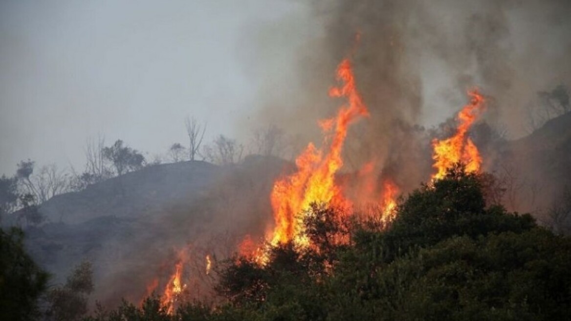 Υπό μερικό έλεγχο η φωτιά στη Μάνη