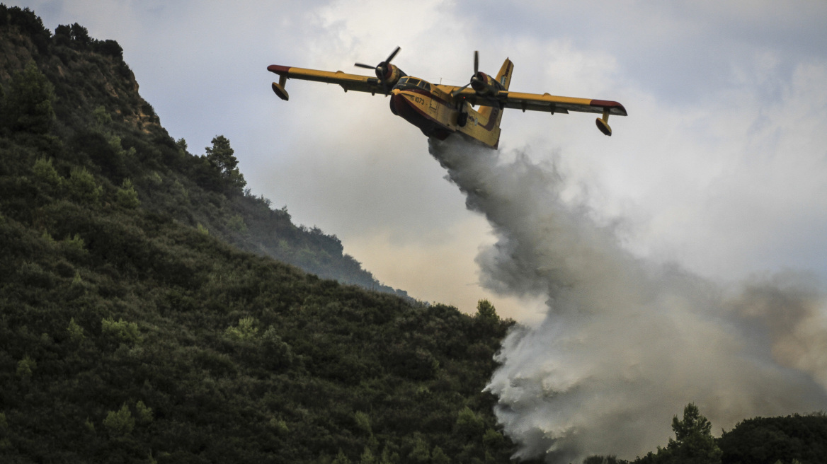 Μεγάλη φωτιά στην περιοχή Χιράδες στην Αρκαδία