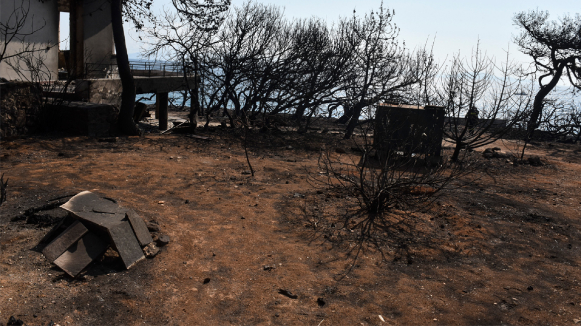 Βαρβάρα Φύτρου: Η ασυνεννοησία και η σύγχυση δημοσίων υπηρεσιών έκαψε τους ανθρώπους μου