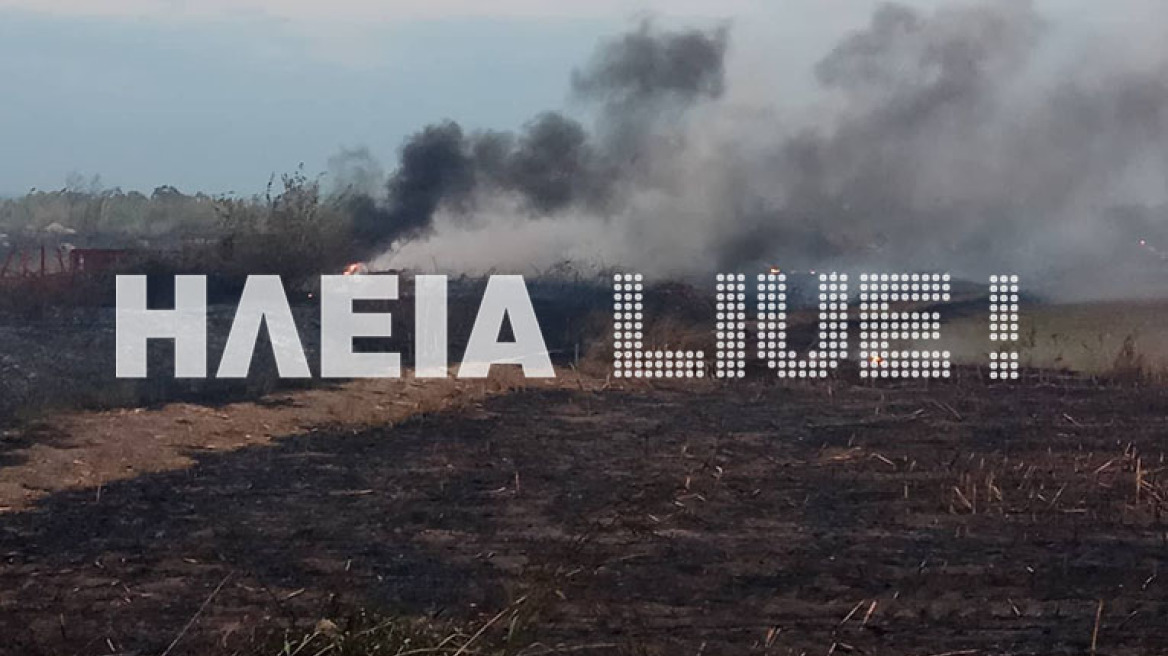 Υπό έλεγχο η φωτιά στα Λεχαινά Ηλείας 