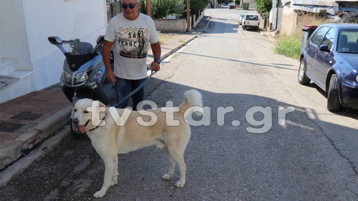 Κάτοικος της Στυλίδας «έφαγε» πρόστιμο 500 ευρώ επειδή ο σκύλος του... γαβγίζει!