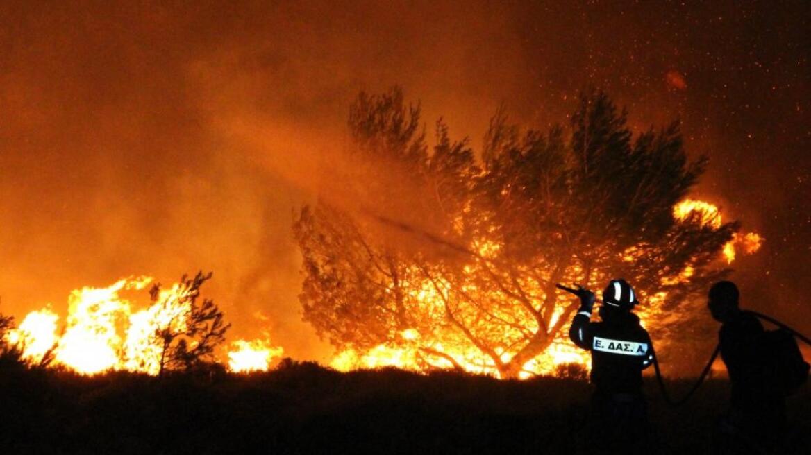 Πυρκαγιά σε δασική έκταση στα Λουτρά Αρκαδίας