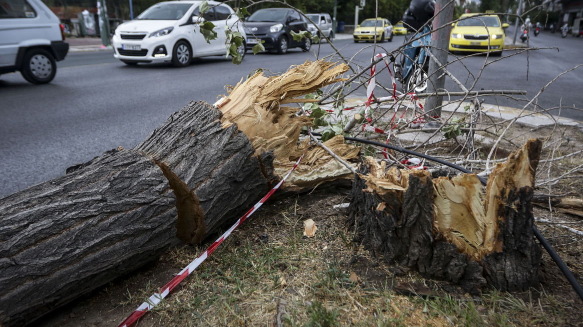 Σαρώνει ο «Ξενοφών»: 580 κλήσεις στην Πυροσβεστική για κομμένα δένδρα - αντικείμενα στους δρόμους