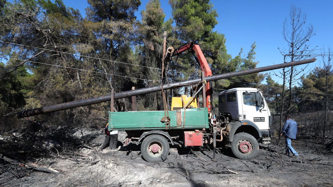 Υπό έλεγχο η φωτιά στη Χαλκιδική - Κλειστά και σήμερα τα σχολεία στη Σάρτη