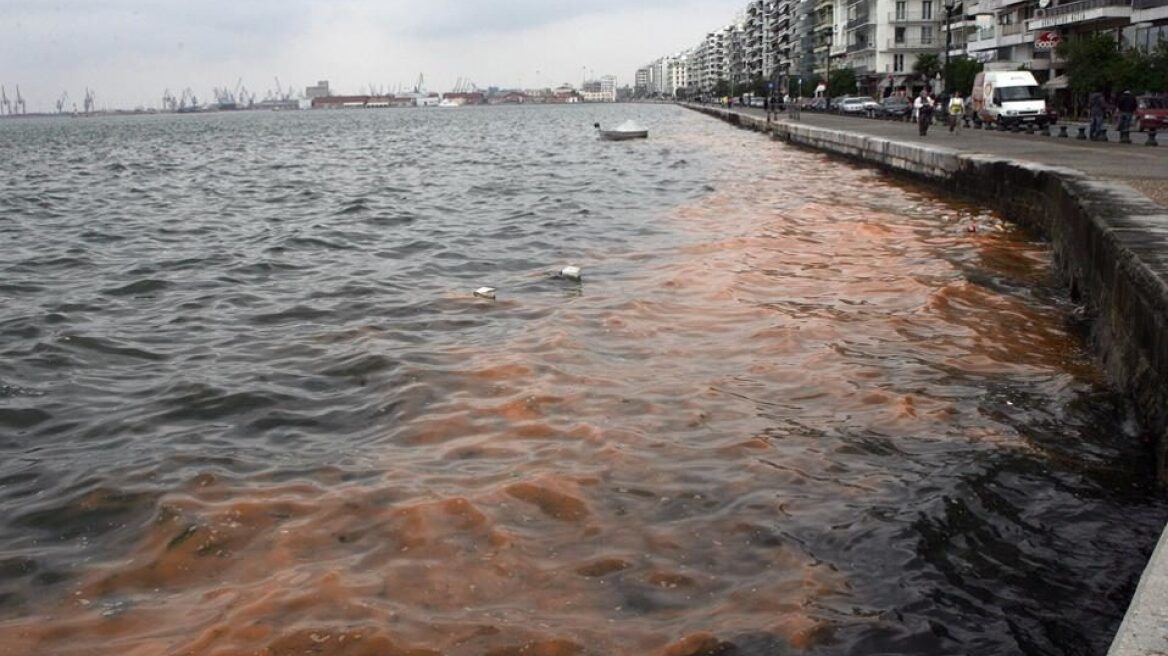 SOS από τους επιστήμονες για τον Θερμαϊκό: Θα κοκκινίζει όλο και περισσότερο τα επόμενα χρόνια