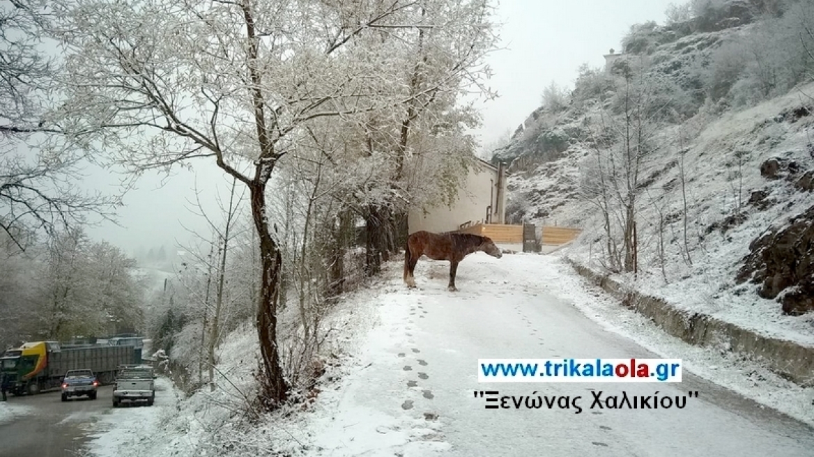 Με το πρώτο χιόνι ξύπνησαν οι κάτοικοι στα Τρίκαλα - «Το έστρωσε» για τα καλά το βράδυ