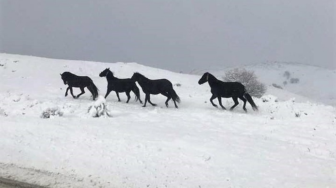 Μια εντυπωσιακή εικόνα από τα χιονισμένα ορεινά της Ηπείρου