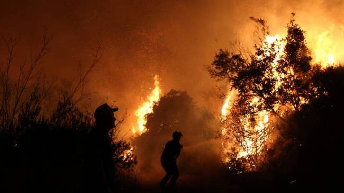 Κεραυνός έκαψε 60 ζώα σε κτηνοτροφική μονάδα στα Τρίκαλα