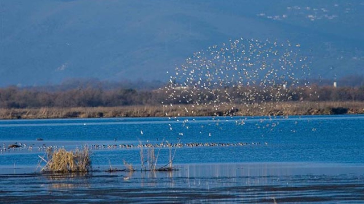 Λαθραλιείς ψάρευαν σε φράγμα στα Γρεβενά