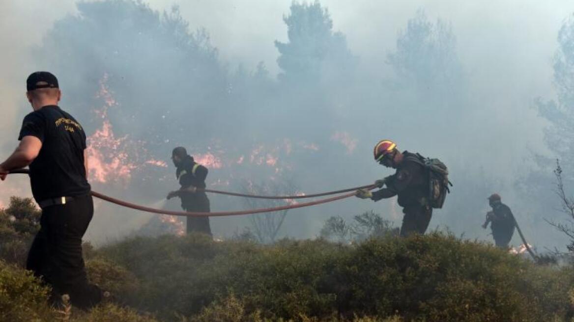 Tα καλώδια της ΔΕΗ «έκαψαν» τον Κάλαμο 