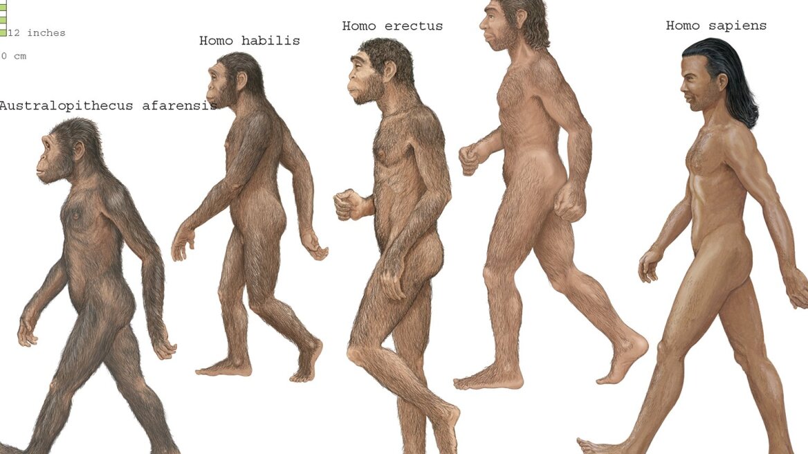 Ο Homo Erectus, πριν τον Homo Sapiens, μίλησε πρώτος και ταξίδεψε για νέους τόπους