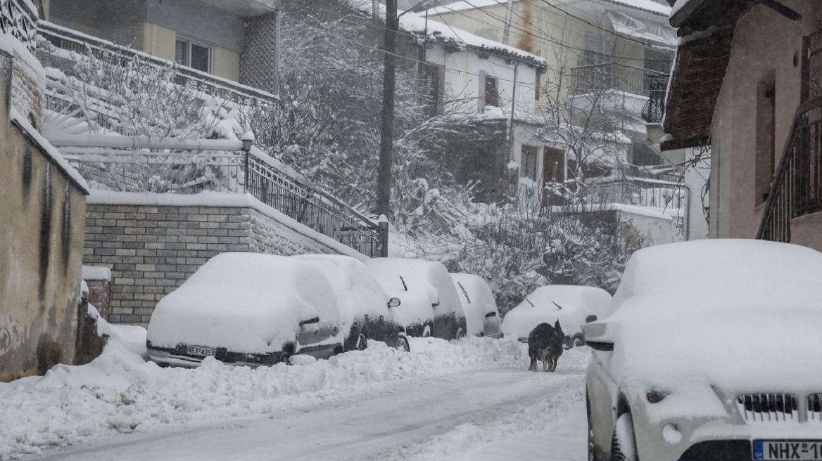 Σε κλοιό χιονιά για τρίτη ημέρα ο Έβρος - Κλειστά τα σχολεία