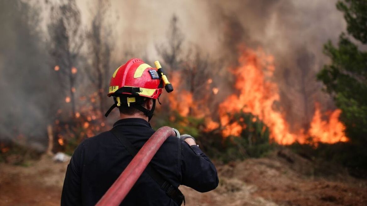 Μεγάλη δασική πυρκαγιά στον Αυλώνα