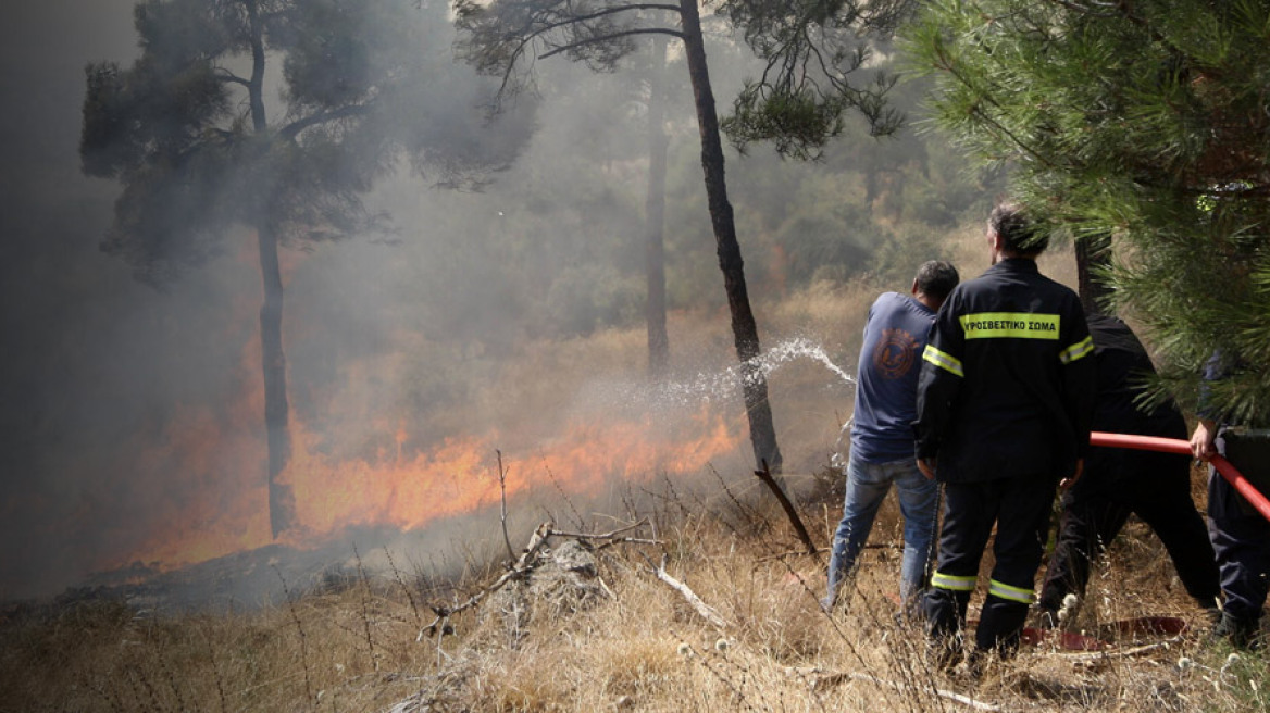 Συναγερμός στην πυροσβεστική μετά τις 130 δασικές πυρκαγιές σε 24 ώρες