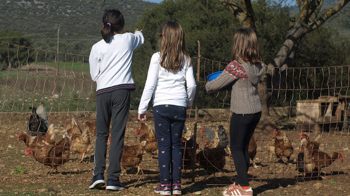 Μια τρελή φάρμα… για όλη την οικογένεια