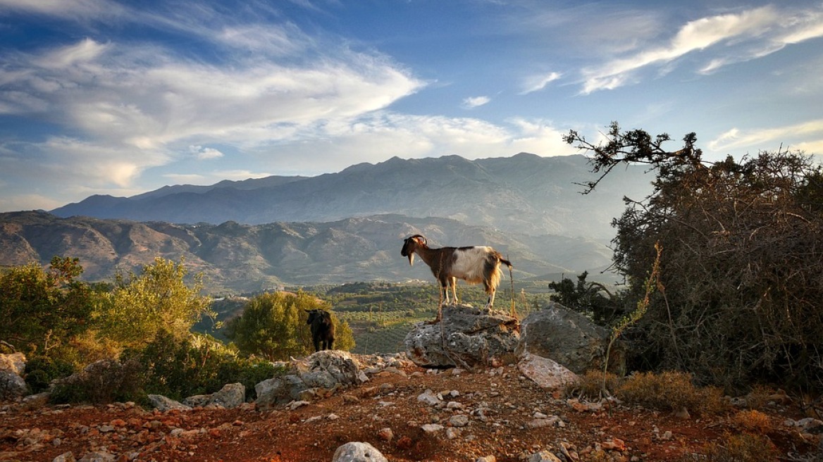 «Σάρωσε» η Περιφέρεια Κρήτης στα βραβεία Greek Travel Awards στη Στοκχόλμη