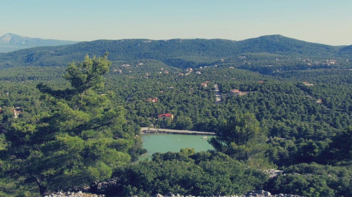 Ιπποκράτειος Πολιτεία: Χωρίς αντιπυρικές ζώνες η περιοχή - «Μπαλάκι» οι ευθύνες 