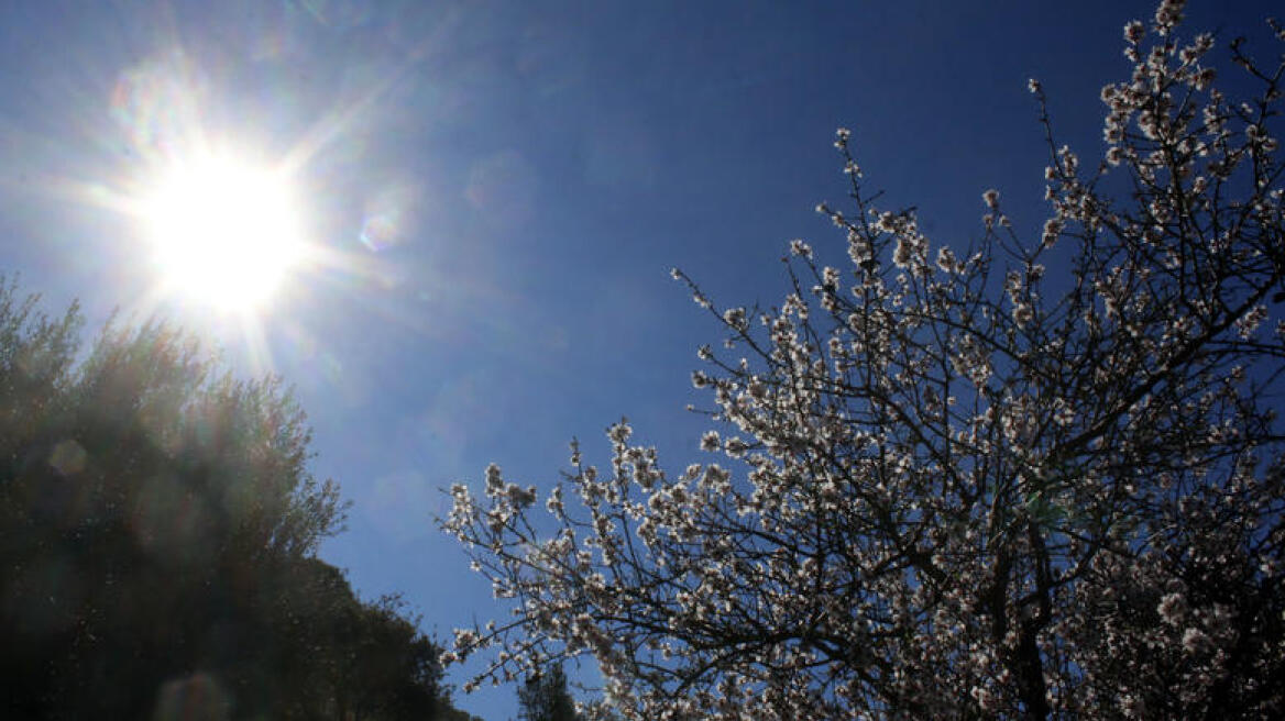 Καλλιάνος: Επιστρέφει η άνοιξη - Πενθήμερο με ήλιο και 24 βαθμούς Κελσίου