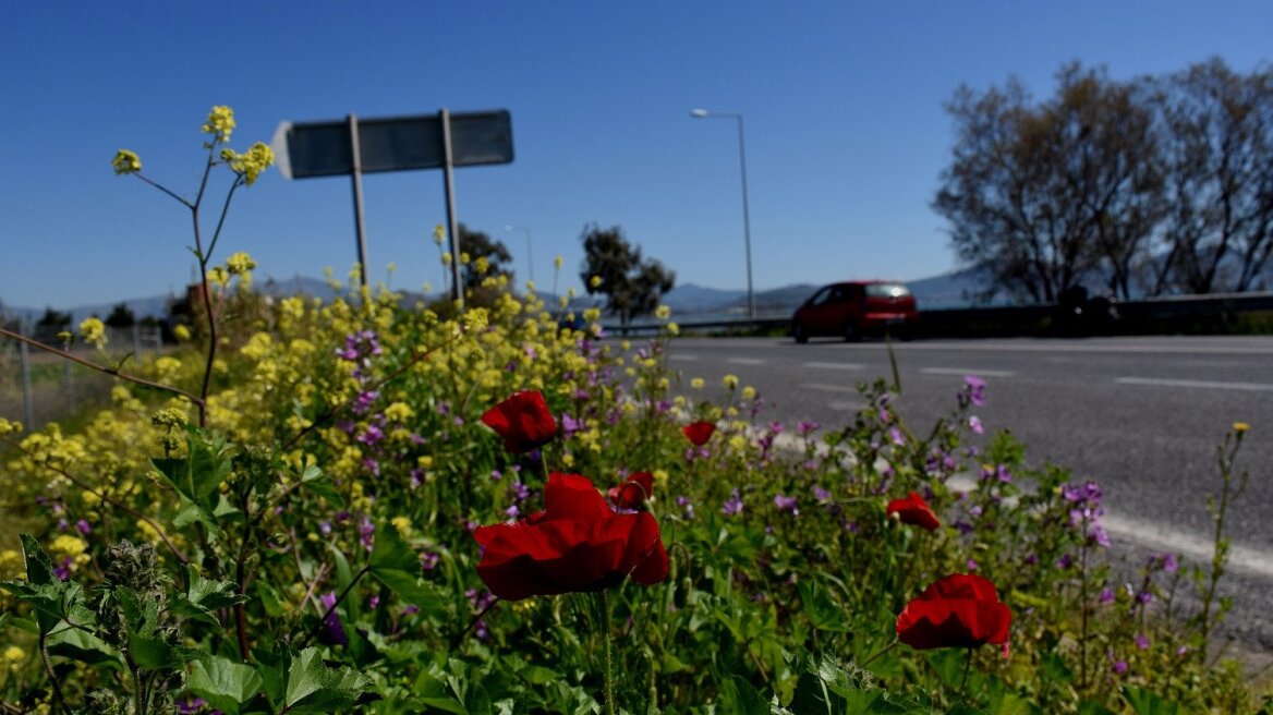 Καιρός Πάσχα 2019: Καλοκαιρία τη Μεγάλη Εβδομάδα - Με τι καιρό θα σουβλίσουμε