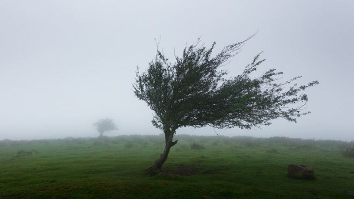 Meteo: Μας πήρε και μας... σήκωσε ο καιρός αυτόν τον χειμώνα - Με έντονους ανέμους οι περασμένοι μήνες