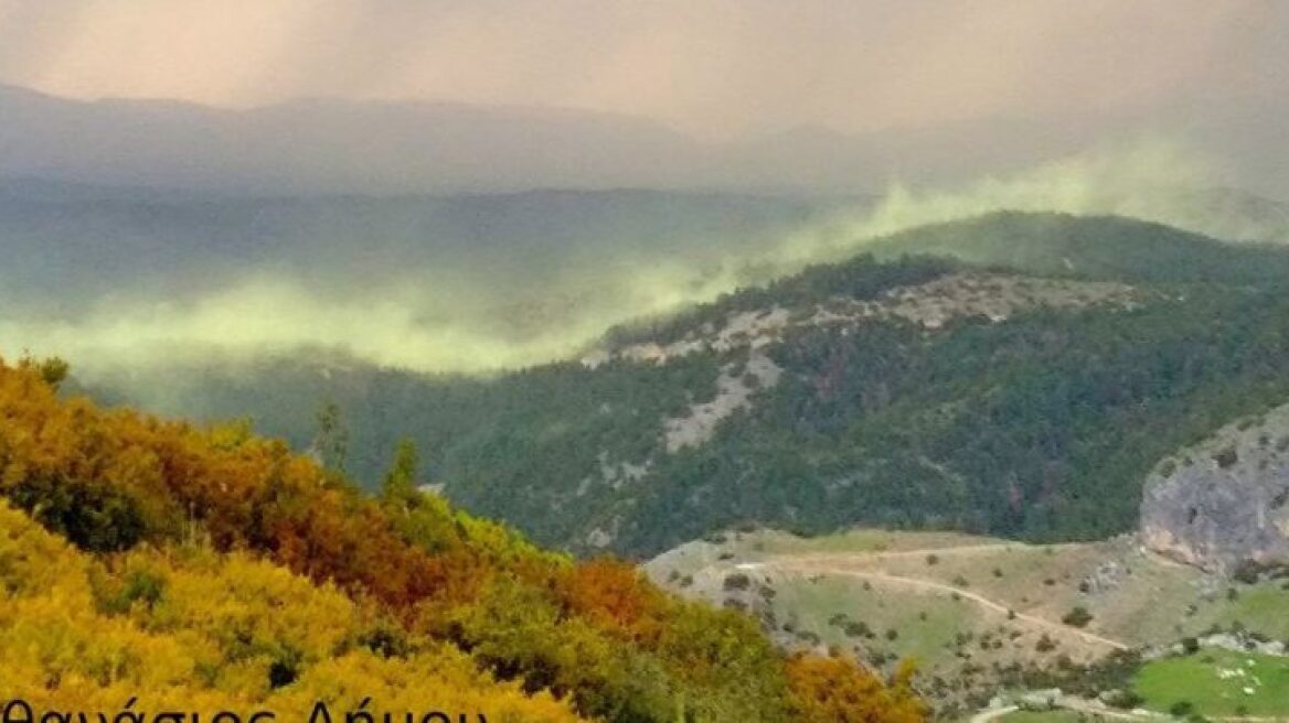 Το... Βόρειο Σέλας στην Ελασσόνα - Εντυπωσιακές εικόνες