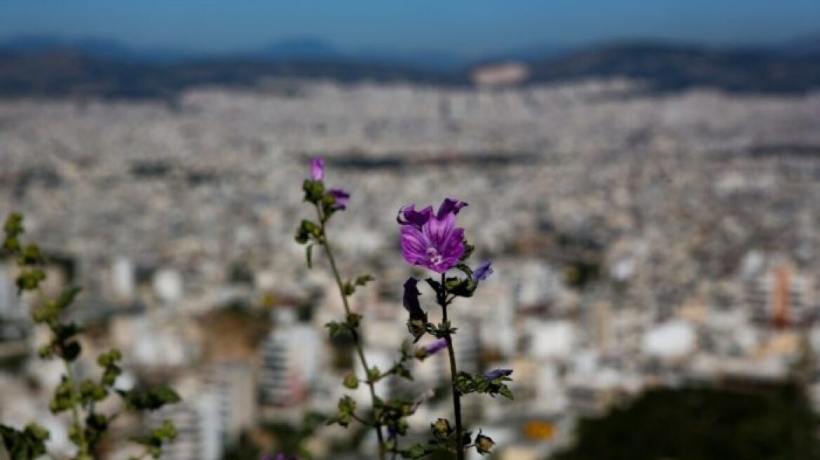 Ευρωεκλογές 2019: Με τι καιρό θα πάμε στις κάλπες - Αναλυτική πρόγνωση