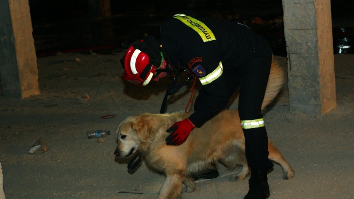 Φωκίδα: Ο σκύλος της ΕΜΑΚ βρήκε 80χρονο που είχε εξαφανιστεί