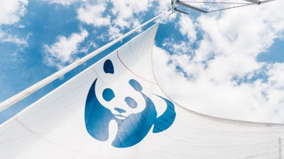 Το καράβι του WWF «Blue Panda» έρχεται Ελλάδα 