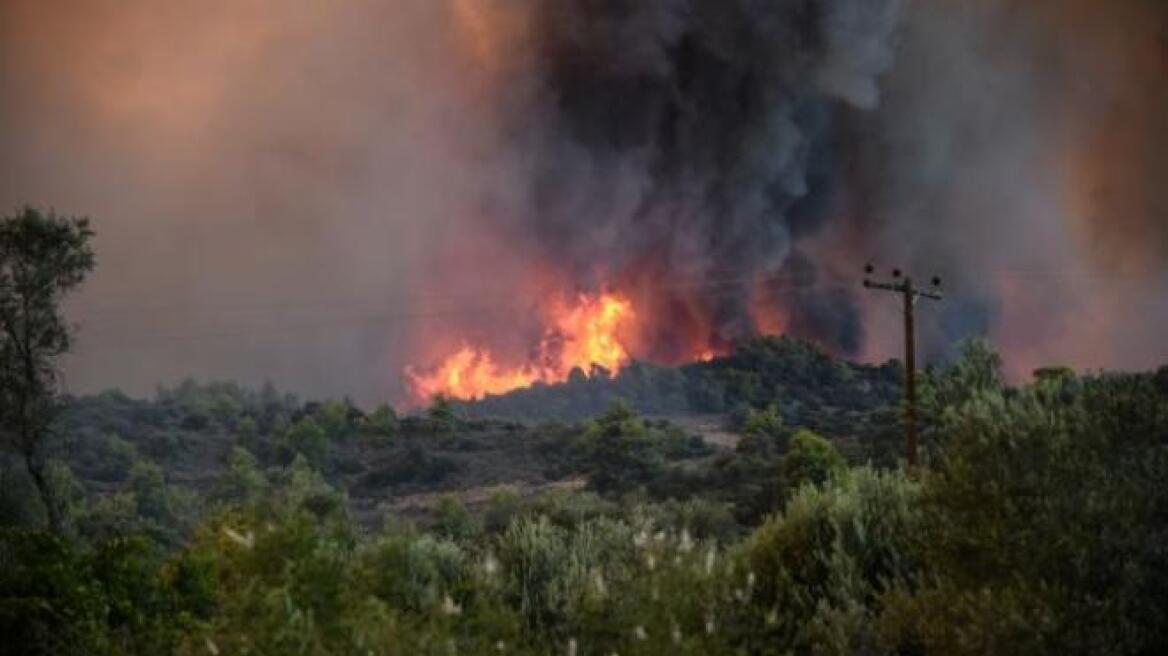 Μεγάλη φωτιά στα Μέγαρα - Καίει δασική έκταση