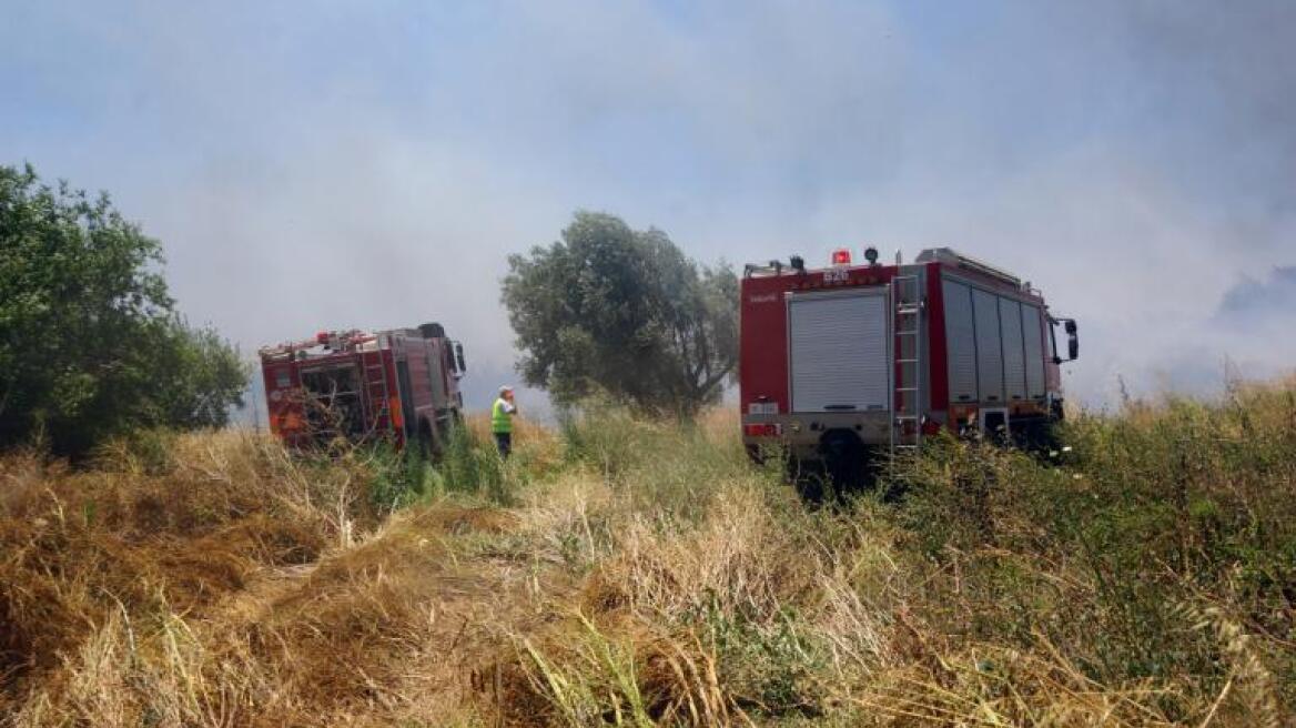 Δύο φωτιές σε εξέλιξη στη Λάρισα - Η μία σε επιχείρηση έξω από την πόλη