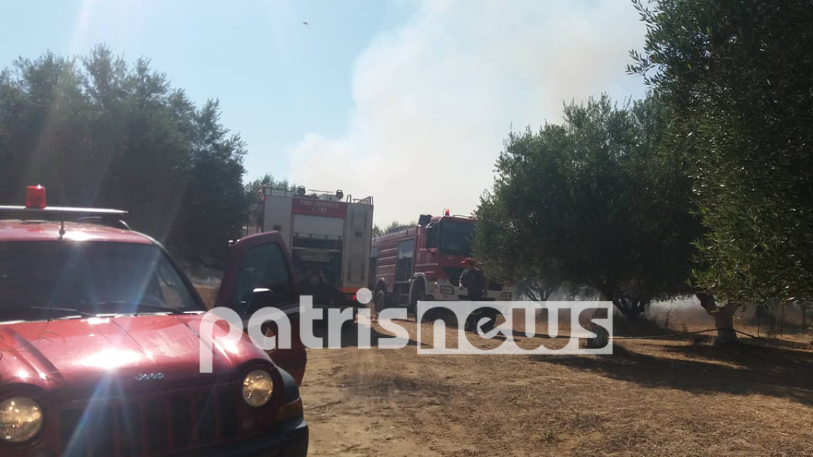 Πύργος: Μεγάλη πυρκαγιά μεταξύ Σκουροχωρίου – Σκαφιδιάς