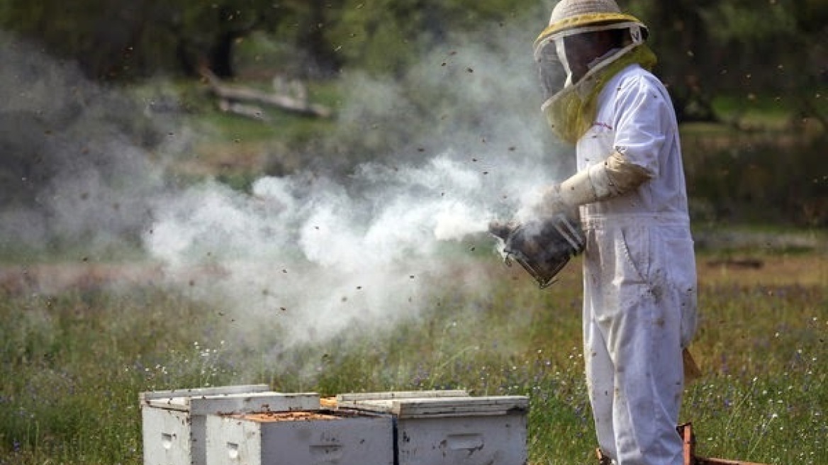 Γαλλία: Σε κρίσιμη κατάσταση ένας 70χρονος που δέχτηκε επίθεση από χιλιάδες μέλισσες