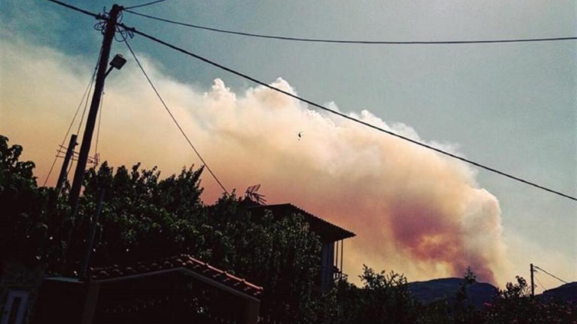 Σε ύφεση τα μέτωπα της φωτιάς στην Εύβοια